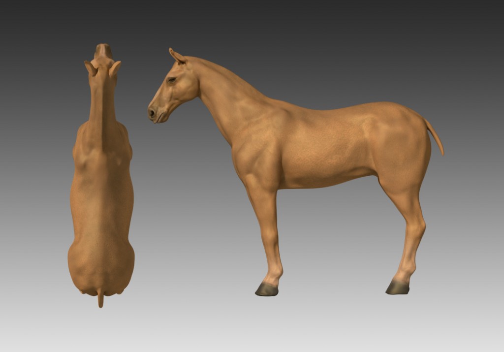 Horse  preview image 2
